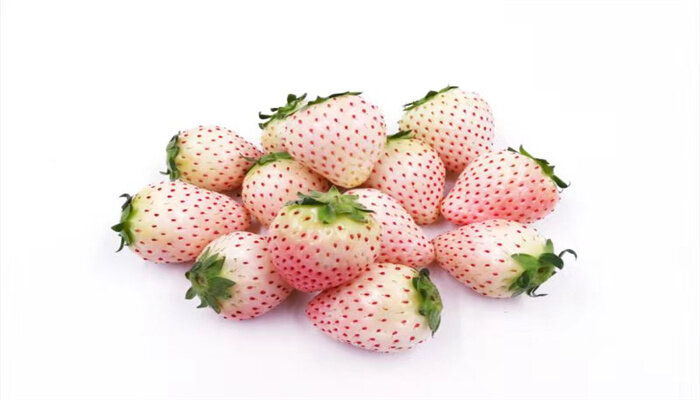 桃熏草莓 桃熏草莓