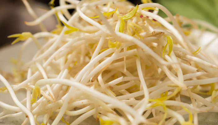 绿豆芽菜怎么种 绿豆芽菜怎么种