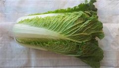 龙牙白菜