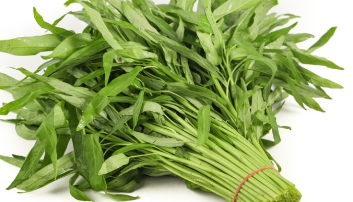 柳叶空心菜 柳叶空心菜