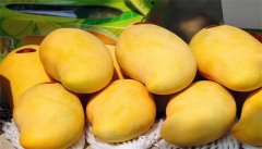 芒果怎么吃