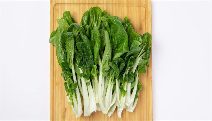 奶白菜 奶白菜