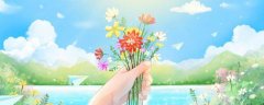 小伙把多肉养成手捧花