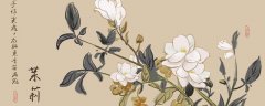 茉莉花有毒吗 能在家里养吗