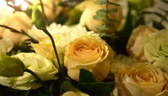 玫瑰花