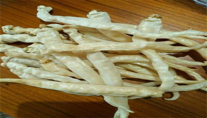 白辣椒 白辣椒