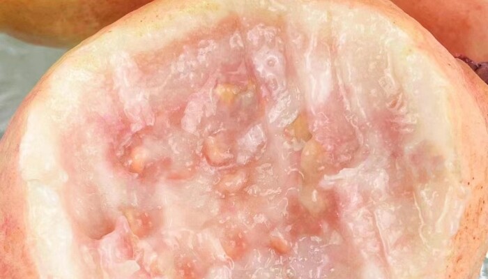 胭脂红番石榴 胭脂红番石榴