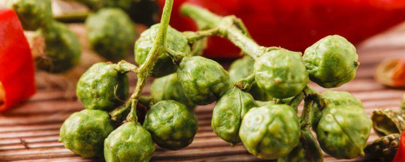 蒲公英花语及象征意义 蒲公英花语及象征意义